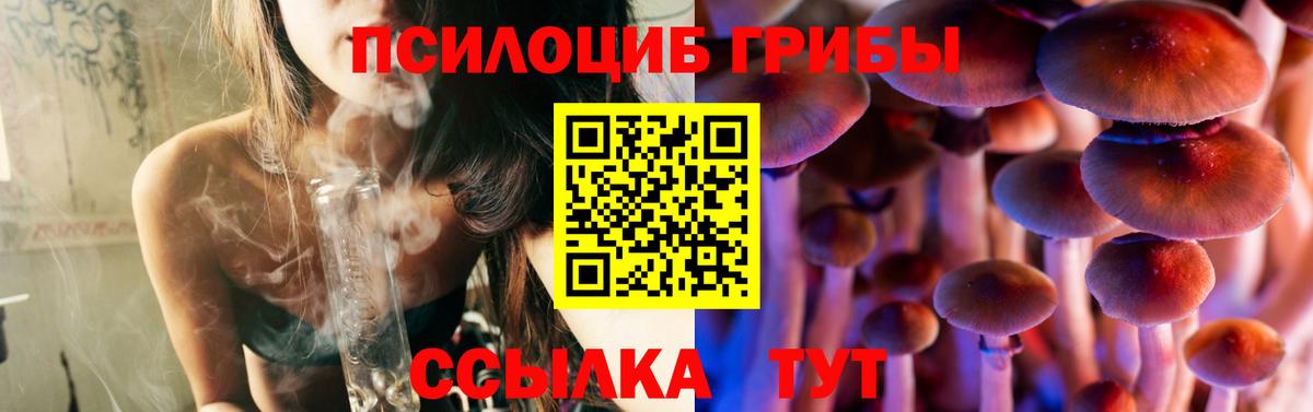 Псилоцибиновые грибы мицелий Пугачёв